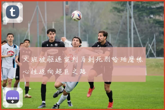 文班被驱逐宣判马刺死刑哈珀磨练心性迈向超巨之路